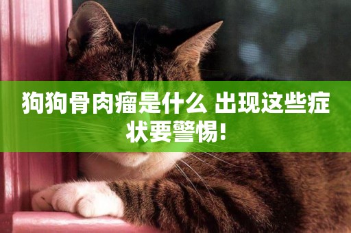 狗狗骨肉瘤是什么 出現這些癥狀要警惕!