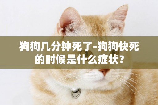 狗狗幾分鐘死了-狗狗快死的時候是什么癥狀？