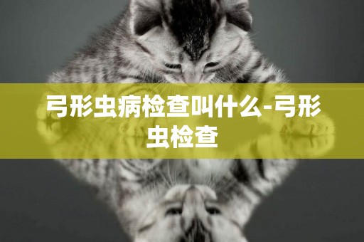 弓形蟲病檢查叫什么-弓形蟲檢查