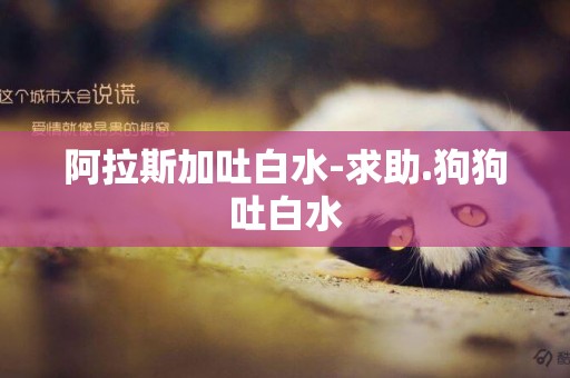 阿拉斯加吐白水-求助.狗狗吐白水