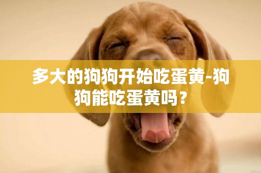 多大的狗狗開始吃蛋黃-狗狗能吃蛋黃嗎？