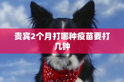 貴賓2個月打哪種疫苗要打幾鐘