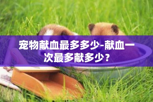 寵物獻血最多多少-獻血一次最多獻多少？