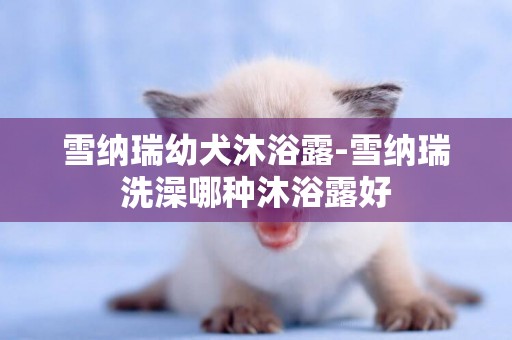 雪納瑞幼犬沐浴露-雪納瑞洗澡哪種沐浴露好