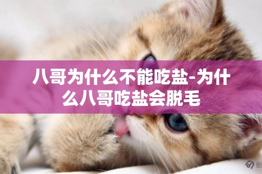 八哥為什么不能吃鹽-為什么八哥吃鹽會脫毛