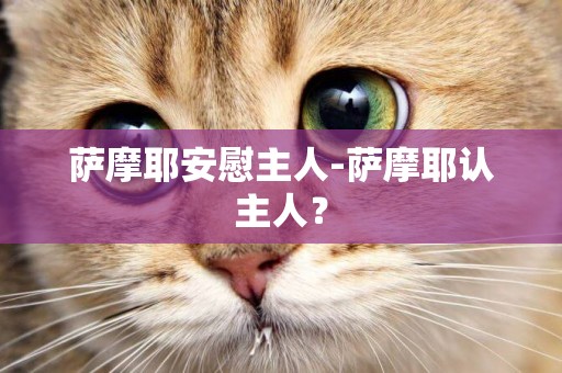 薩摩耶安慰主人-薩摩耶認主人？