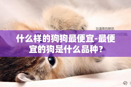 什么樣的狗狗最便宜-最便宜的狗是什么品種？