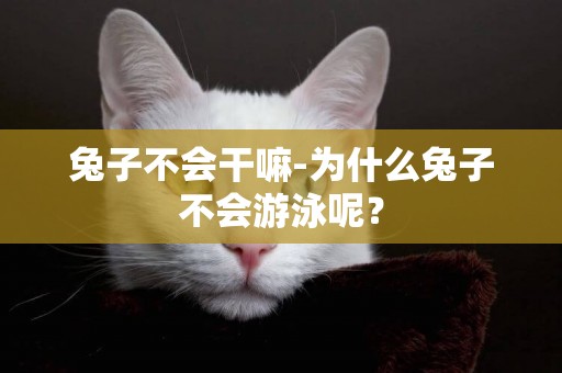 兔子不會干嘛-為什么兔子不會游泳呢？