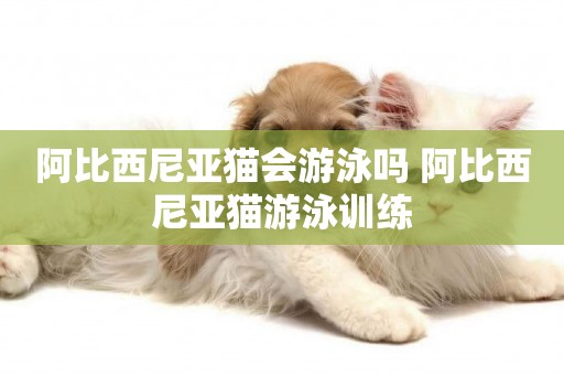 阿比西尼亞貓會游泳嗎 阿比西尼亞貓游泳訓練