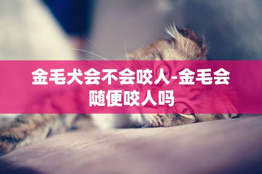 金毛犬會不會咬人-金毛會隨便咬人嗎