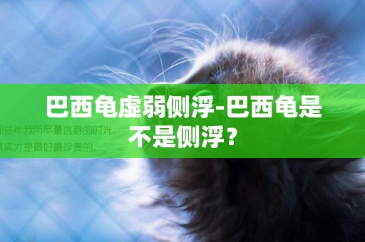 巴西龜虛弱側浮-巴西龜是不是側浮？