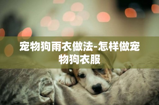 寵物狗雨衣做法-怎樣做寵物狗衣服