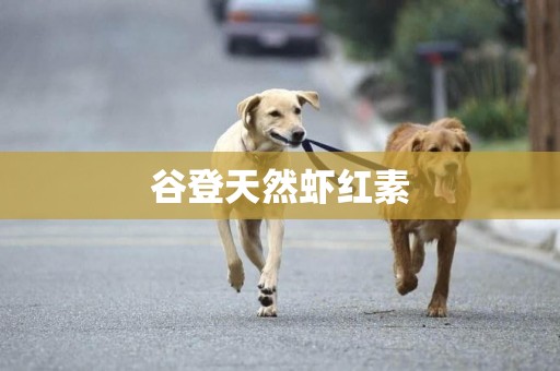 谷登天然蝦紅素