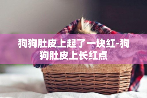 狗狗肚皮上起了一塊紅-狗狗肚皮上長紅點