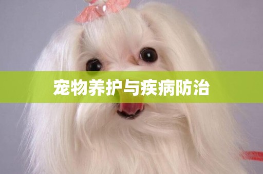 寵物養護與疾病防治