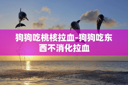 狗狗吃桃核拉血-狗狗吃東西不消化拉血