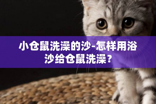 小倉鼠洗澡的沙-怎樣用浴沙給倉鼠洗澡？