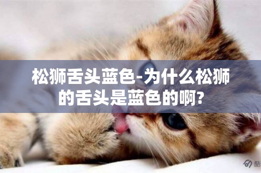 松獅舌頭藍色-為什么松獅的舌頭是藍色的啊?