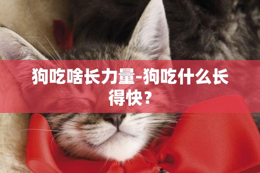 狗吃啥長力量-狗吃什么長得快？