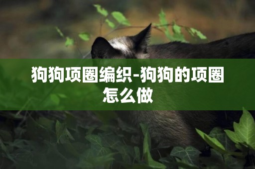狗狗項圈編織-狗狗的項圈怎么做