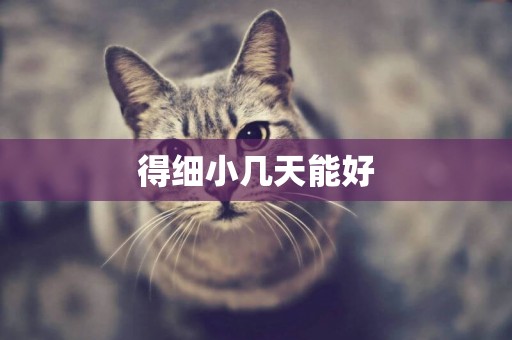 得細小幾天能好