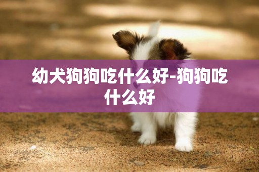 幼犬狗狗吃什么好-狗狗吃什么好