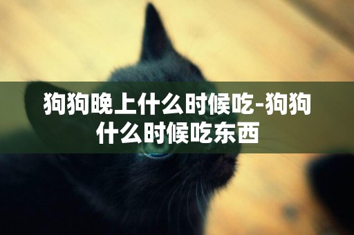 狗狗晚上什么時候吃-狗狗什么時候吃東西