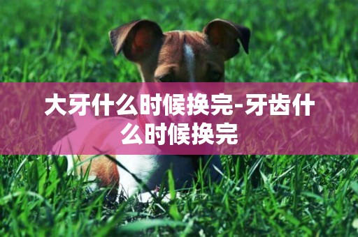 大牙什么時候換完-牙齒什么時候換完