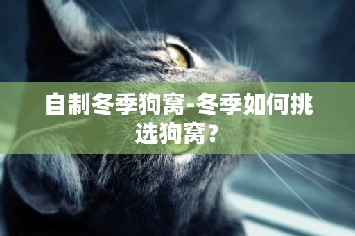 自制冬季狗窩-冬季如何挑選狗窩？