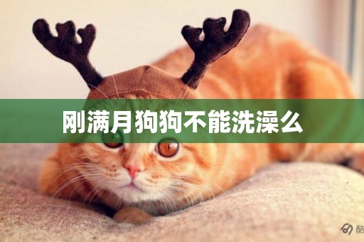 剛滿月狗狗不能洗澡么