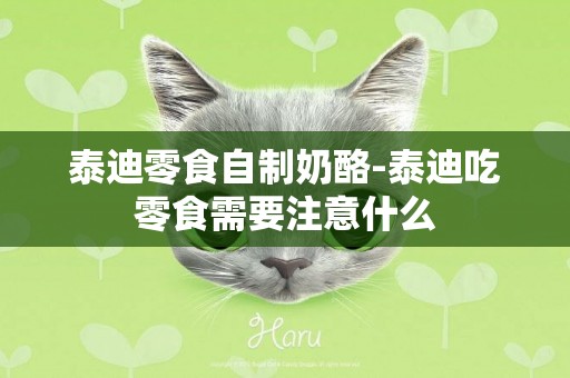泰迪零食自制奶酪-泰迪吃零食需要注意什么