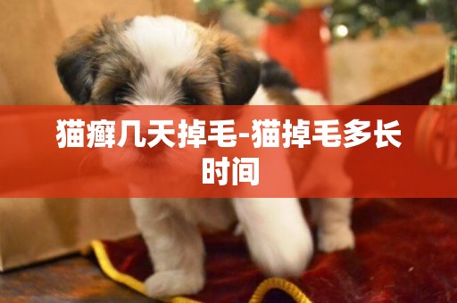 貓癬幾天掉毛-貓掉毛多長時間
