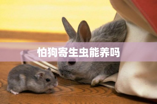 怕狗寄生蟲能養嗎