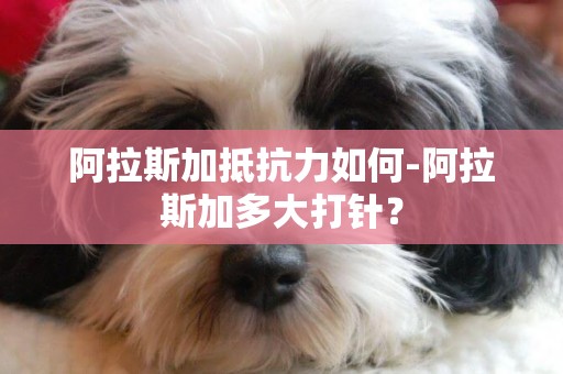 阿拉斯加抵抗力如何-阿拉斯加多大打針？