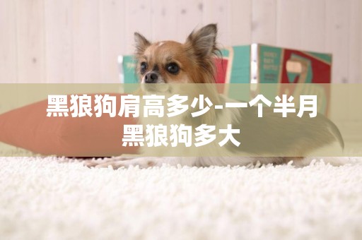 黑狼狗肩高多少-一個半月黑狼狗多大