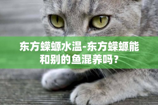 東方蠑螈水溫-東方蠑螈能和別的魚混養嗎？