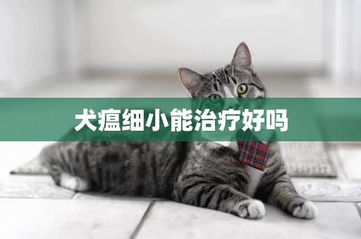 犬瘟細小能治療好嗎