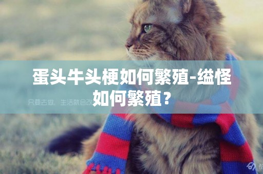 蛋頭牛頭梗如何繁殖-縊怪如何繁殖？