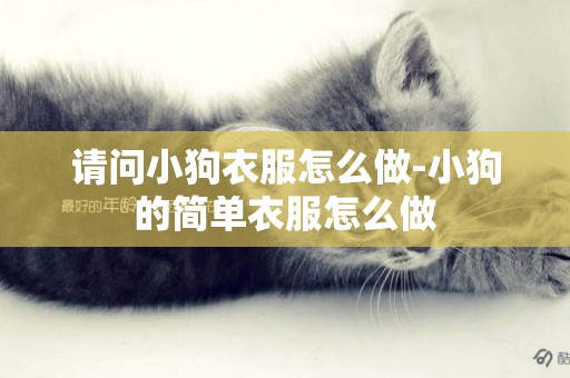 請問小狗衣服怎么做-小狗的簡單衣服怎么做