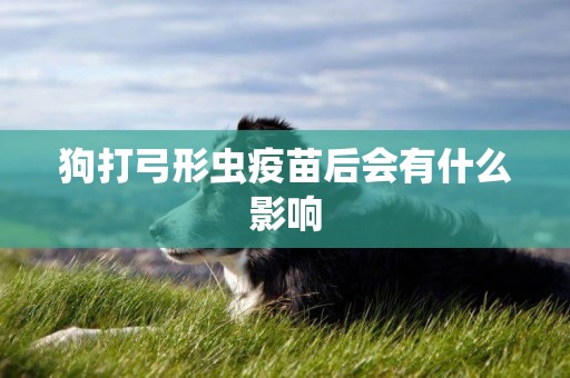 狗打弓形蟲疫苗后會有什么影響