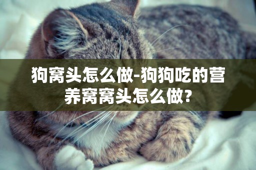 狗窩頭怎么做-狗狗吃的營養窩窩頭怎么做？