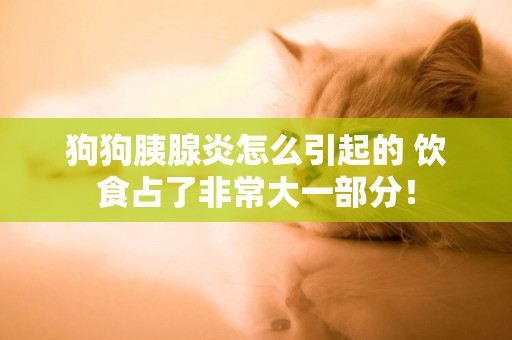 狗狗胰腺炎怎么引起的 飲食占了非常大一部分！