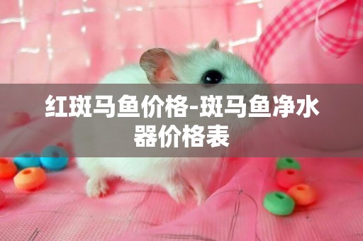 紅斑馬魚價格-斑馬魚凈水器價格表