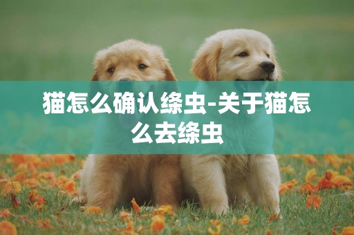 貓怎么確認絳蟲-關于貓怎么去絳蟲
