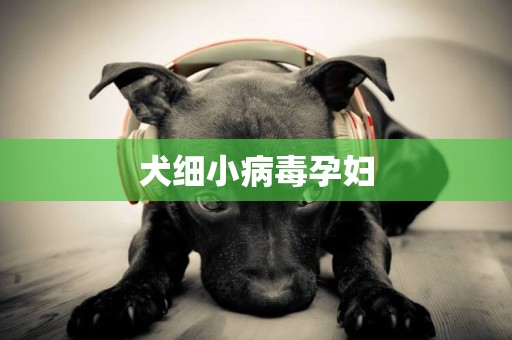 犬細小病毒孕婦