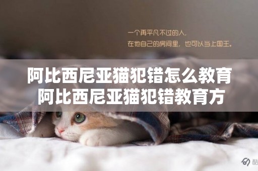 阿比西尼亞貓犯錯怎么教育 阿比西尼亞貓犯錯教育方法