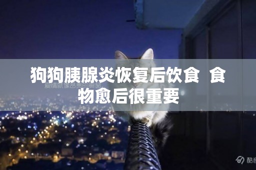 狗狗胰腺炎恢復后飲食  食物愈后很重要