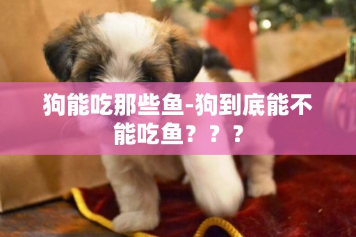 狗能吃那些魚-狗到底能不能吃魚？？？