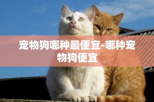 寵物狗哪種最便宜-哪種寵物狗便宜