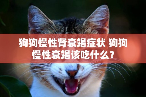 狗狗慢性腎衰竭癥狀 狗狗慢性衰竭該吃什么？